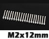 RC4WD ミニチュアスケール ヘックスボルト [M2x12mm][シルバー][20本] - ウインドウを閉じる