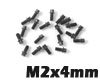 RC4WD ミニチュアスケール ヘックスボルト [M2x4mm][ブラック][20本]