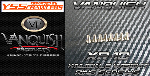 VP Brass Knuckle Weights for XR10!