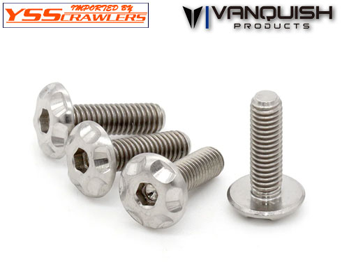 VP Titanium M3x10mm Washer Head Screw (4)