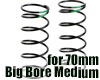 Boom Racing KUDU™ Shock Springs Medium (Green) for Big Bore BRSP